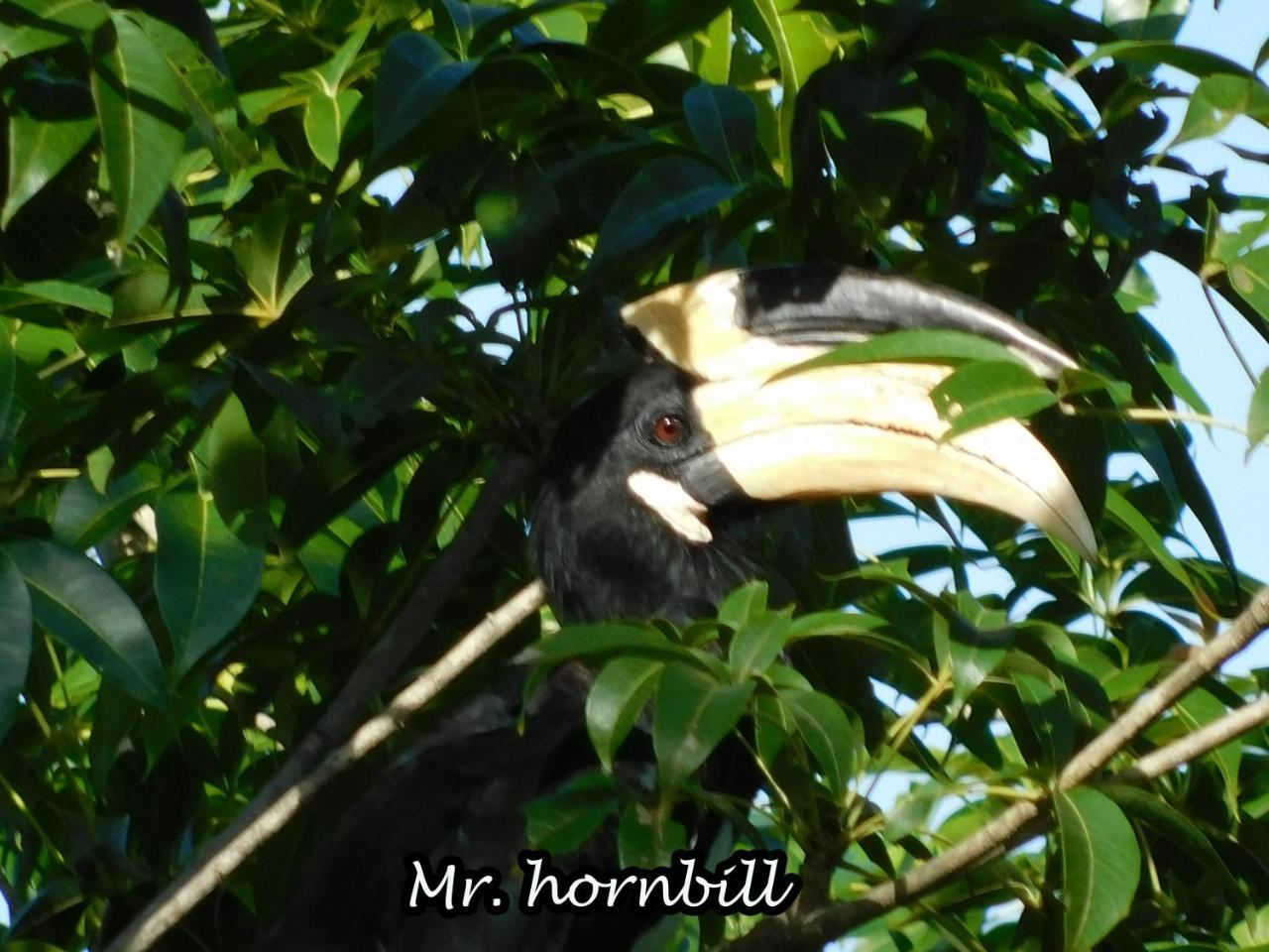 Apartmán Yala Avian Eye Safari Buttala Exteriér fotografie